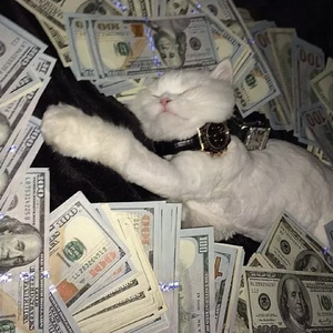 妙玉开庖野史最精髓的十句话
