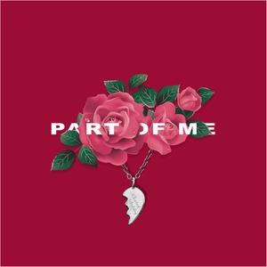 妙玉开庖野史最精髓的十句话
