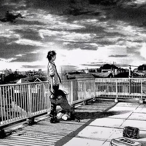 妙玉开庖野史最精髓的十句话
