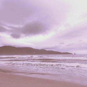 妙玉开庖野史最精髓的十句话
